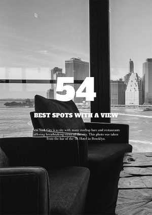 NYC Travel Guide - English (Digital Download)