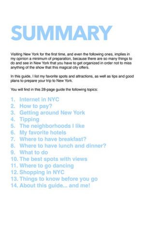 FREE NEW YORK TRAVEL GUIDE (PDF 28 pages)