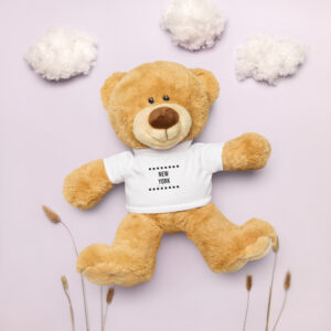 Teddy bear with a New York City t-shirt